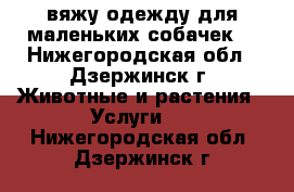 вяжу одежду для маленьких собачек  - Нижегородская обл., Дзержинск г. Животные и растения » Услуги   . Нижегородская обл.,Дзержинск г.